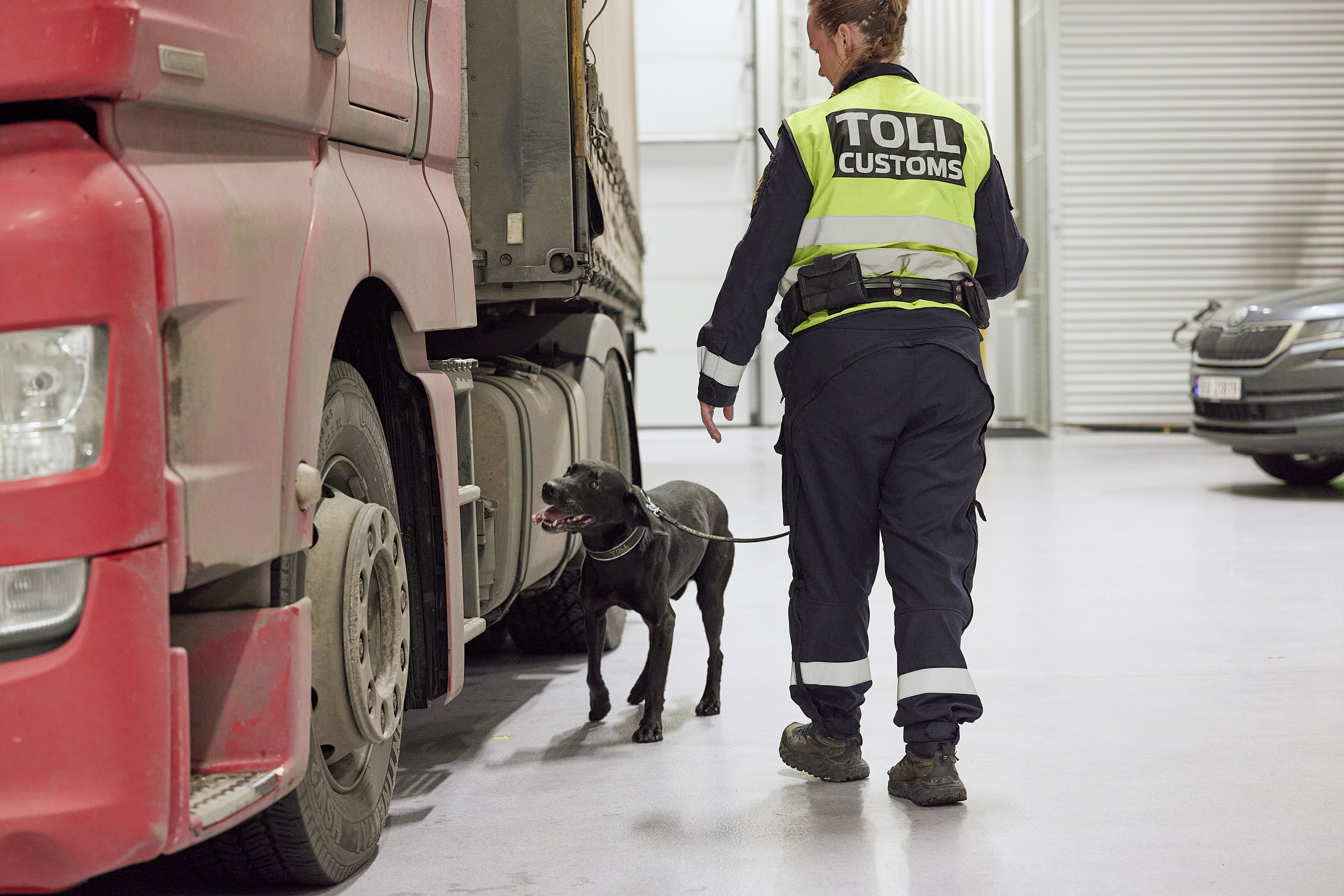 Hundetjenesten - narkotikahund søker. Foto fra Ørje. Foto: Mark Purnell/Tolletaten.