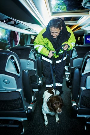 OLLIE: Hundefører Eivind og narkotikahunden Ollie er de første til å gå inn i bussen. Ollie snuser på samtlige passasjerer, men ingen har med seg narkotika.FOTO:BÅRD GUDIM